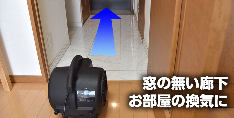 換気・乾燥・送風!!台風並みのパワーを備えた小型強力送風機『ストームファンモナイト』をご紹介!!